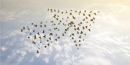 expansive co-creation