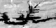 code1-2002